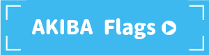 AKIBA Flags