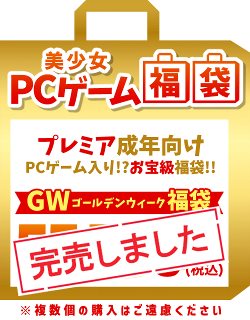 【2025GW福袋】成年向けPCゲーム 55,550円福袋