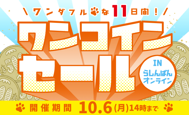 500円ワンコイン